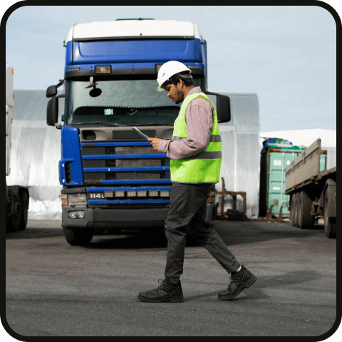 Specialized Image One